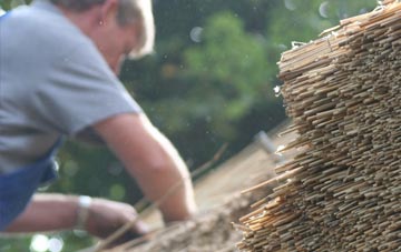 professional Filmore Hill thatchers